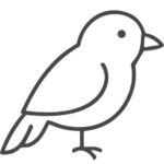 طيور